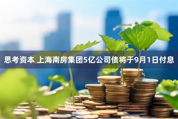 思考资本 上海南房集团5亿公司债将于9月1日付息